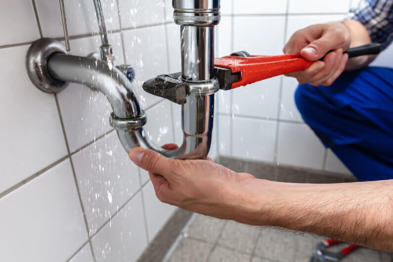 Bird Dog Plumbing Toilet Repair