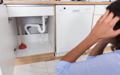 Why is My Kitchen Sink Leaking? 8 Common Causes